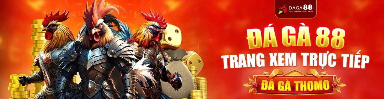 Hỗ Trợ Khách Hàng 5699 VIP Chuyên Nghiệp